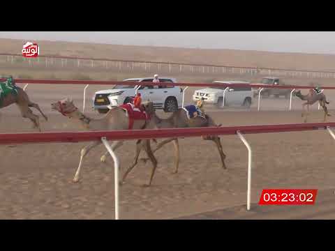 ش 6 (السولعيه) لـ حمد حبروت بن سلطان الكتبي 6:36 ، شارة الشيخ طحنون 2026/8/22 حقايق الجبيب