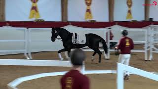 Video af Fridolin 453