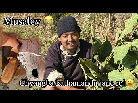 Musaley yesto savai khatam pareyo!😥#maichyang 