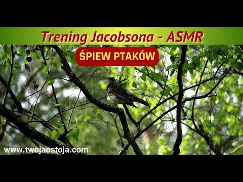 ASMR PL - Trening Jacobsona, czyli Progresywna Relaksacja Mięśni (PRM), szept, whisper, śpiew ptaków