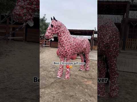 Best Christmas Gift😍 #christmas #amazing #horse #equestrian #viralshorts #trending #foryou #fyp