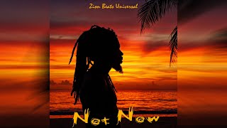 Peter Tosh x Third World x Roots Reggae __ Not Now __  Instrumental #2025 #reggae #music
