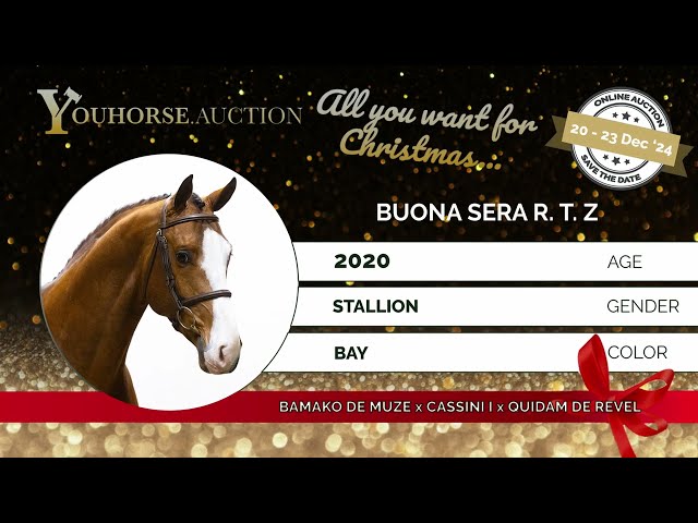 Buona Sera RT Z