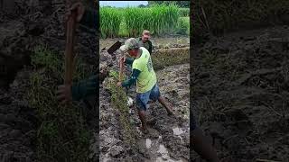 Download lagu kerjasama macul mopok galengan mp3 Download lagu kerjasama macul mopok galengan mp3