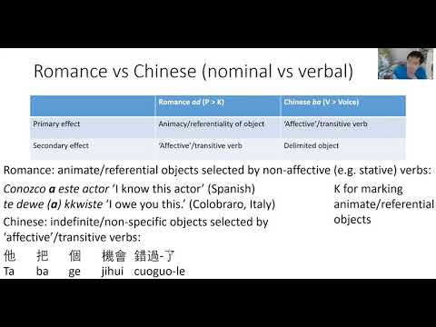 Differential Object Marking and Event Structure: Perspectives from Romance and Chinese (EESLiG2020)