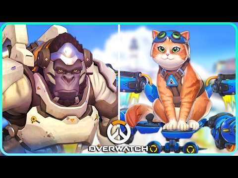 JetPack Cat Unique Interactions & Hero Specific Eliminations Overwatch