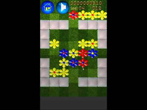 Flowers Popper Video