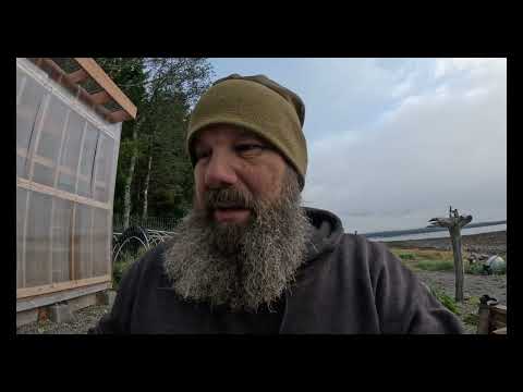 Greenhouse and homestead update