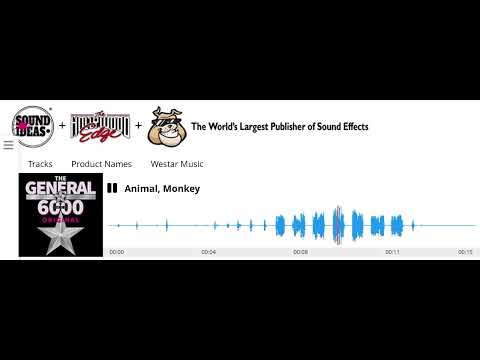 Sound Ideas, ANIMAL, MONKEY - VARIOUS SCREAMS, APE