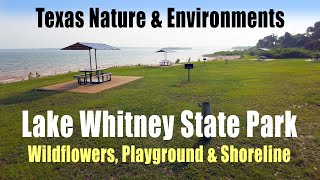 Lake Whitney State Park Wildflowers, Playground & Shoreline: June 2023