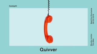 Quivver -  This Was