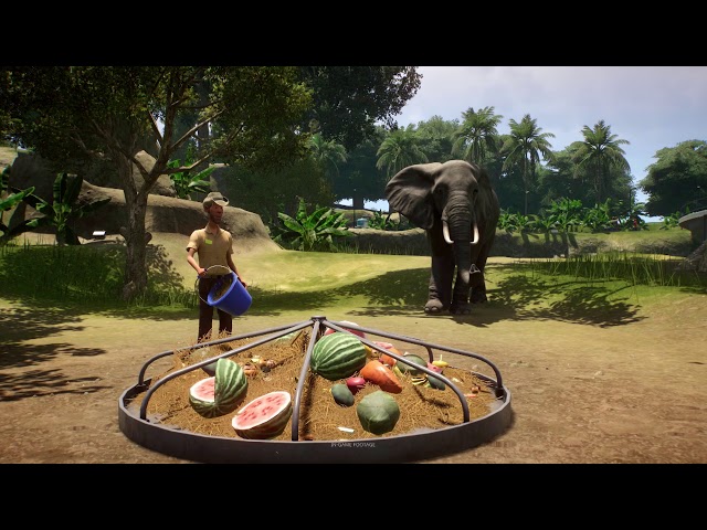 Video - Planet Zoo (PC)