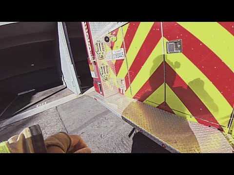 Dramatic video shows Orange County firefighters rescue cats from burning building