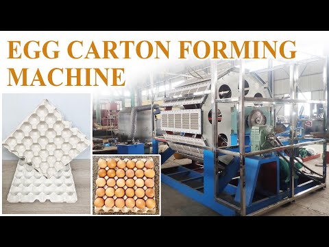 How Egg Carton Making Machines Work: A Complete Guide! #egg #eggtray #recycle #paper #carton