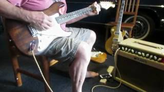 Video thumbnail for Carvin Nomad  50 by Lee Taylor