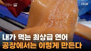 우리가 먹는 연어는 이렇게 만들어진다ㅣ연어 필렛 가공 공정의 풀 스토리ㅣ#극한직업