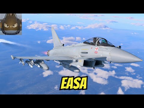 War Thunder SIM - Typhoon AESA - MFD Thunder