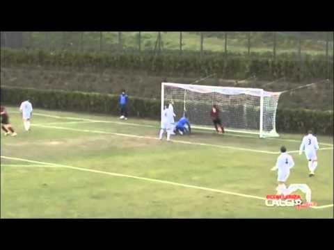 Federico Comini 2014-2015