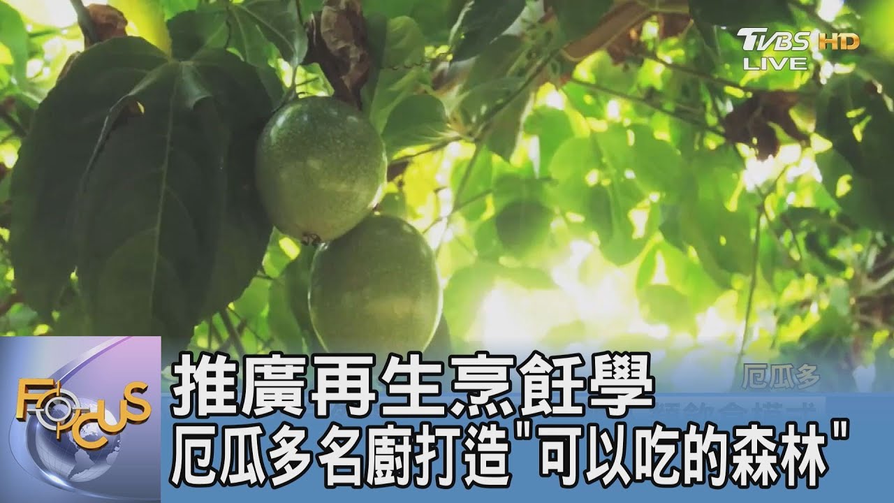 推廣再生烹飪學 厄瓜多名廚打造「可以吃的森林」