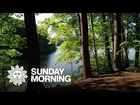 Nature: Walden Pond in Massachusetts