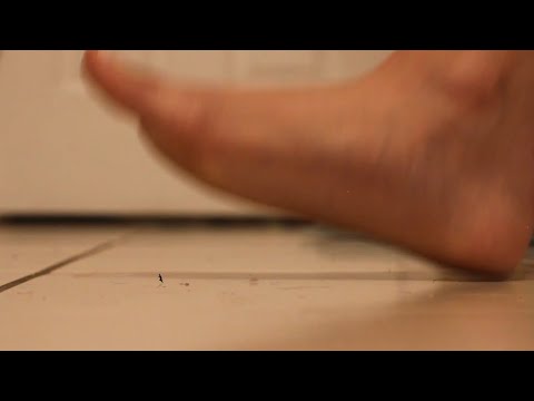 (Unaware Giantess) Kat Squishes You