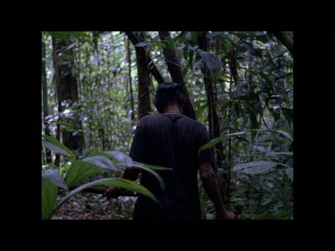 A Tree is Like a Man (Trailer @ CPH:DOX 2019)