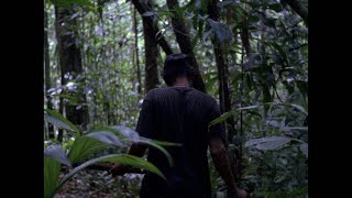 A Tree is Like a Man (Trailer @ CPH:DOX 2019)