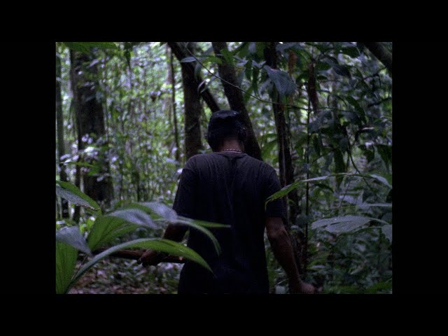 A Tree is Like a Man (Trailer @ CPH:DOX 2019)