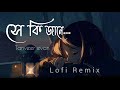 Shey Ki Jane (সে কি জানে) [ Lofi Remix ] Raz Dee | Tanveer Evan | Shey Ki Jane Lofi Song