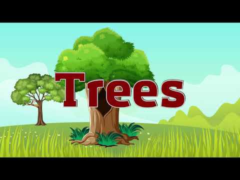 Trees for Kids | Learn Parts of a Tree for Kids | Tree and their Parts for Kids | Preschool Videos
