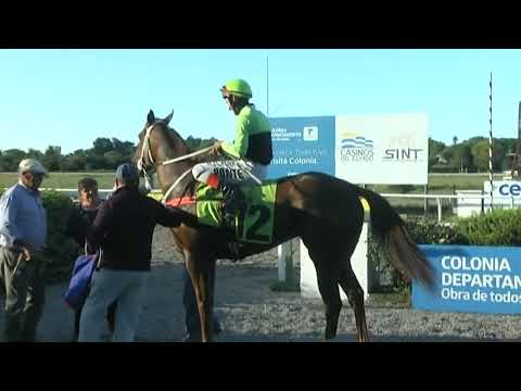 HIPODROMO SINT COLONIA 220331 c08 1° GRINGA LOCA