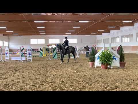 KENSINGTON (6yo Zirocco Blue) 8.10.21 Blonhofen - 1. Platz SPF L 8,4