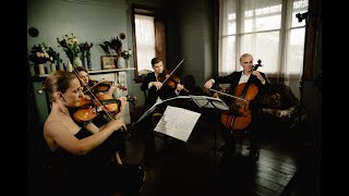 Without A Word - Birdy - Stringspace String Quartet