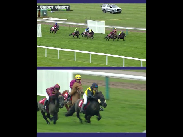 Thumbnail for Post ID: wyPmvhsd1gE