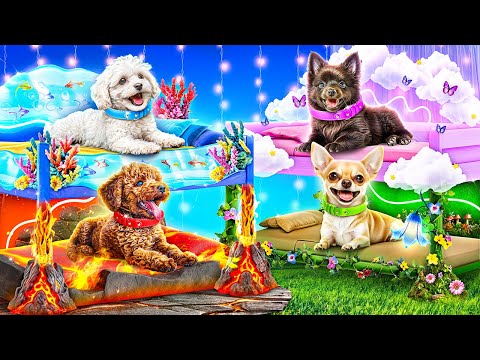 Four Elements Build a Loft Bed! We build secret rooms for the pets of the four elements!