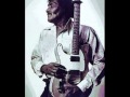 Albert Collins / Mr. Collins! Mr Collins !