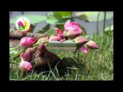 Đồng Tháp quê mình - Trường Đức