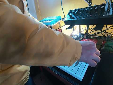 MicroBrute SE + Circuit Tracks + Circuit Rhythm + DFAM +  in home Jam