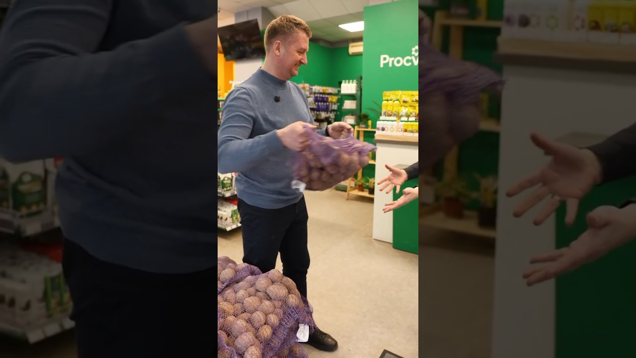 Почему все дачники гоняются за сортом картошки Пароли?