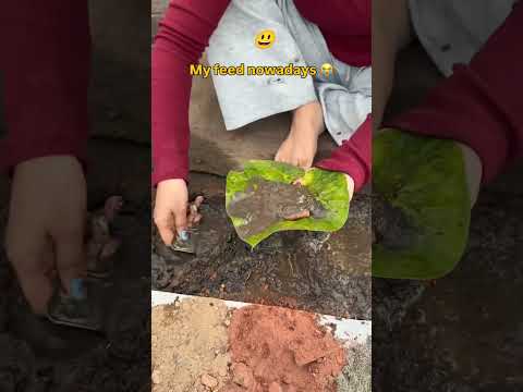 Parodia de comida callejera india usando barro y hojas