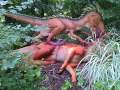 Dino Trail At Detroit Zoo II