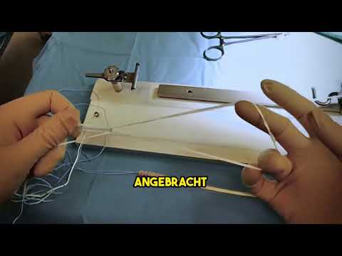 Cruciate ligament transplant from semitendinosus tendon