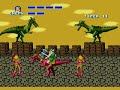 Golden Axe 1989 The Duel