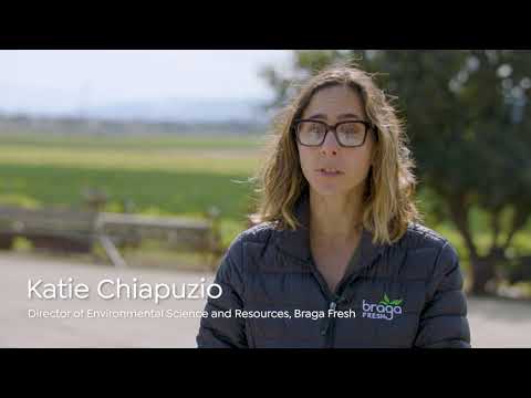 2024 Braga Fresh Regenerative Farming Trials: LEARNINGS & CHALLENGES