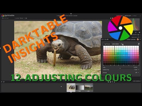 Adjusting colour - Darktable Insights ep 12