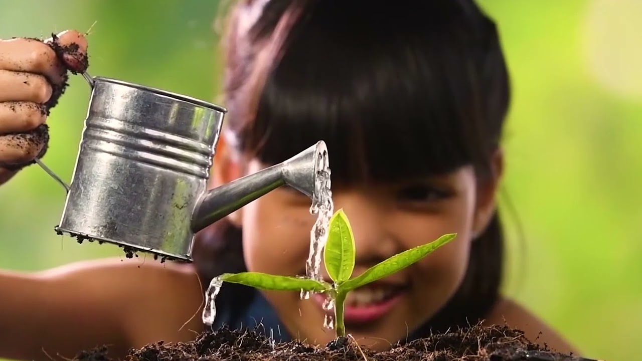 يوم البيئة العالمي