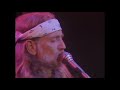 Willie Nelson live at the US Festival 1983 - Why do I have to choose