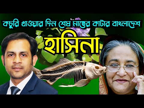 কচুরি খাওয়ার দিন শেষ মাছের কাটার বাংলাদেশ #Nazmul_Hasan #New_York_Voice