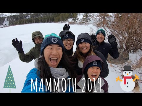 MAMMOTH MOUNTAIN 2019 (DEC)