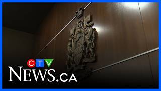 Calgary lawyer facing hearing over AI use in court